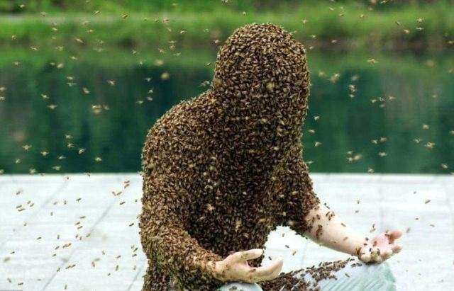 Жуань Лянмин покрытый пчелами