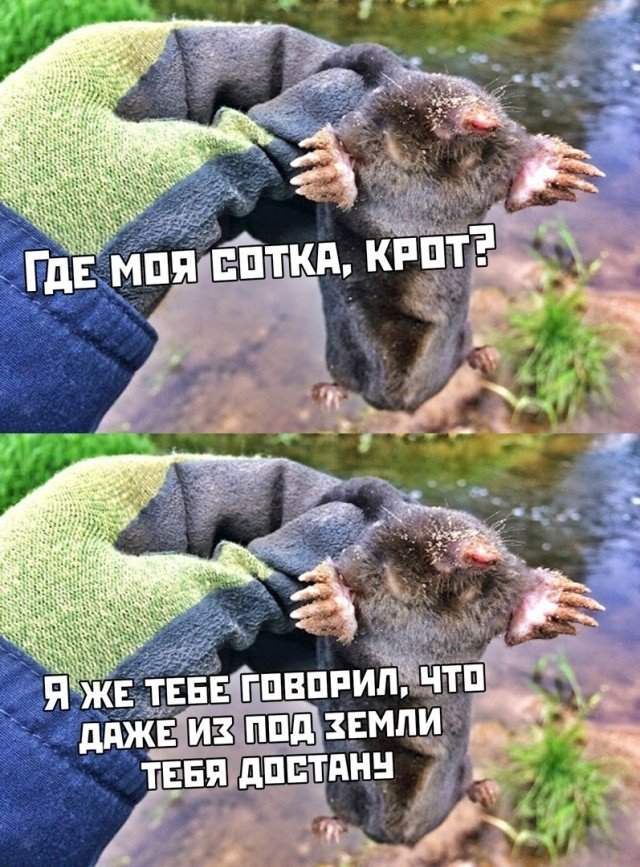 Отдай сотку долга