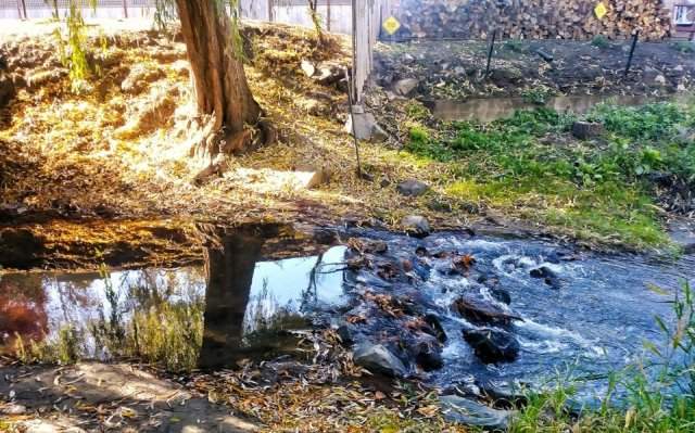 Фото сделано в одном месте - при этом тут можно найти несколько времен года