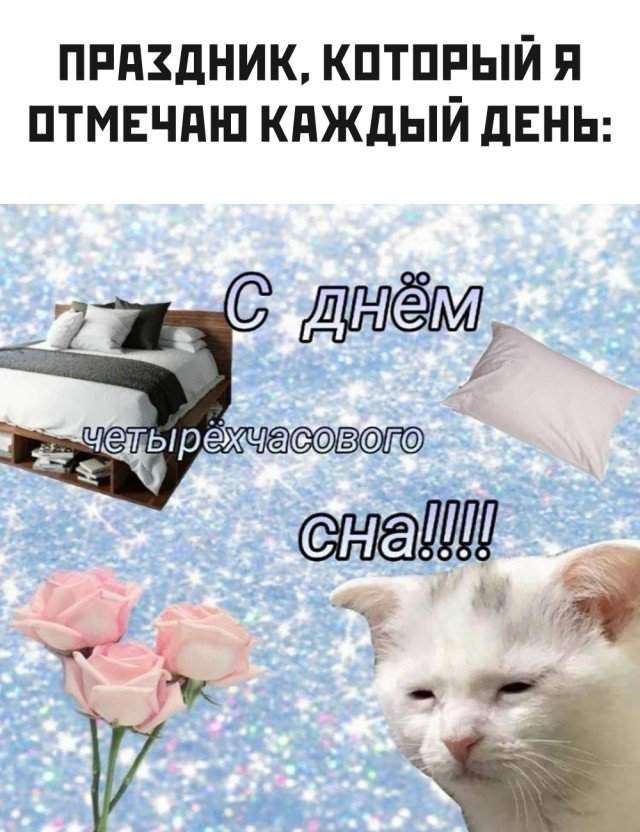 День с 4 часами сна