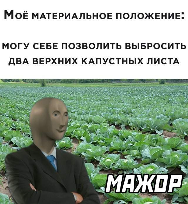 Мажор в современном мире