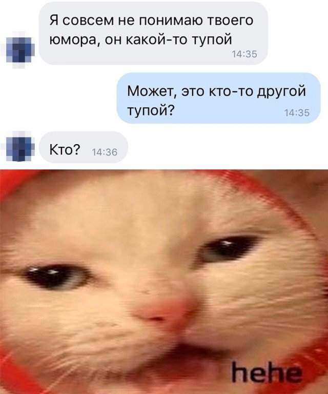 Разговор с товарищем