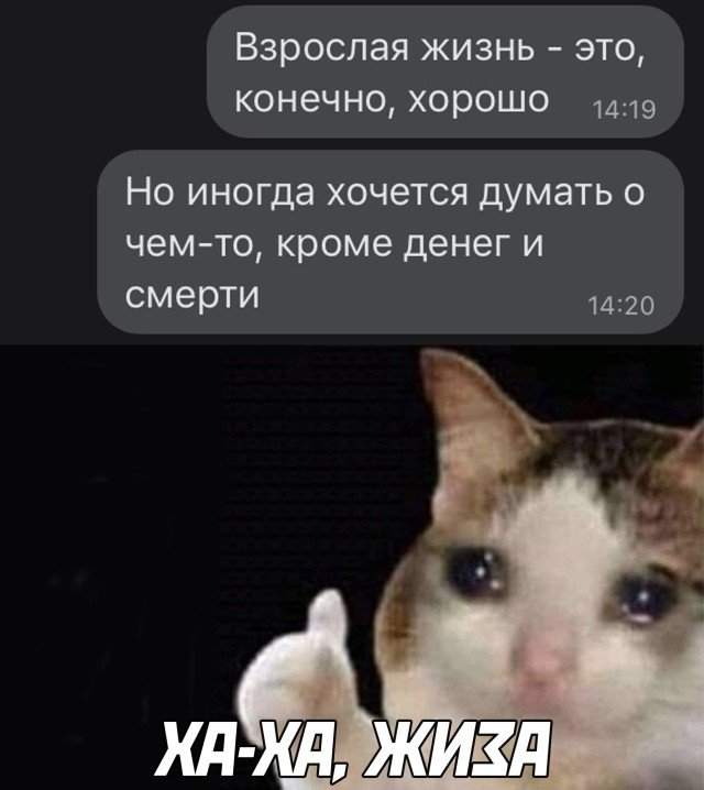 Шутка про взрослую жизнь