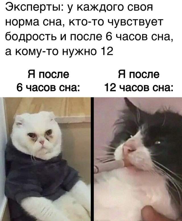 Я после 6 и 12 часов сна