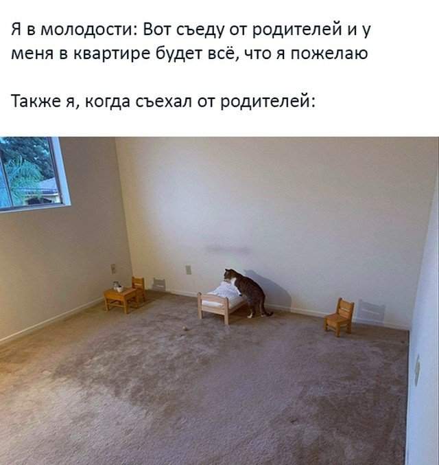 Когда съехал от родителей