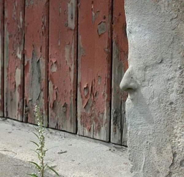 У стен есть не только глаза и уши, но и нос