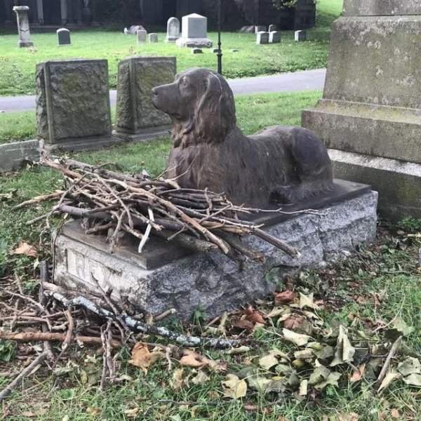 Это 100-летняя могила с памятником собаки на кладбище Грин-Вуд в Бруклине