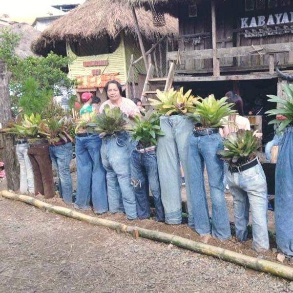 Цветы в джинсах