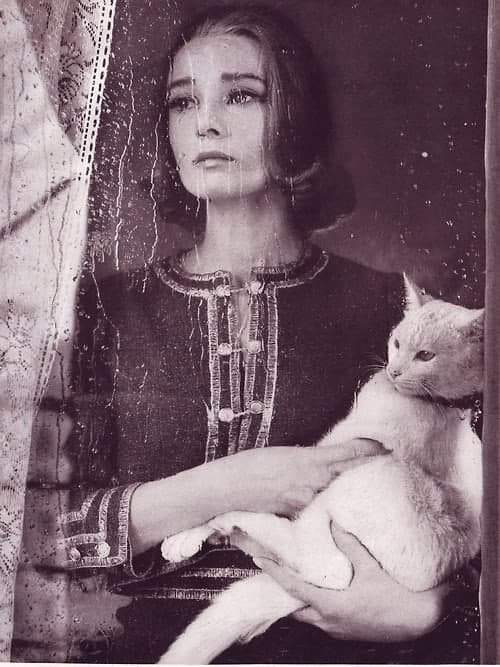Одри Хепберн с котиком, 1959 год.