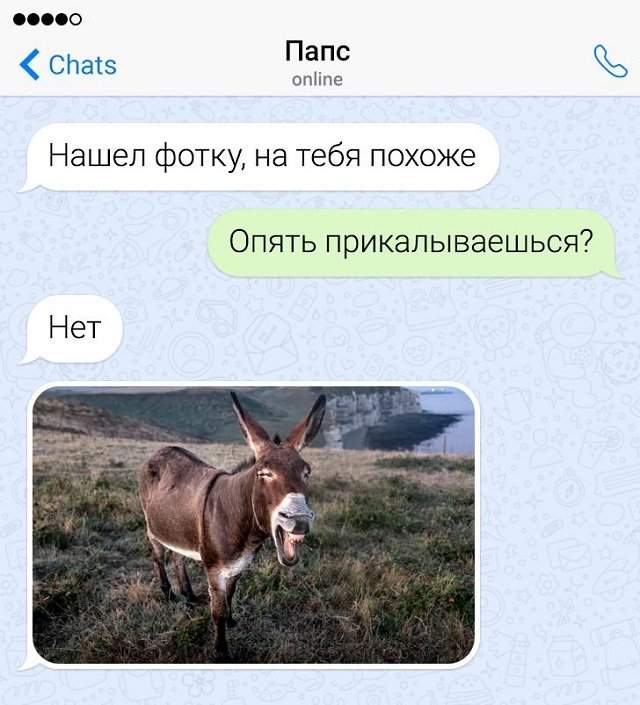 переписка про фотографию переписка про фотографию