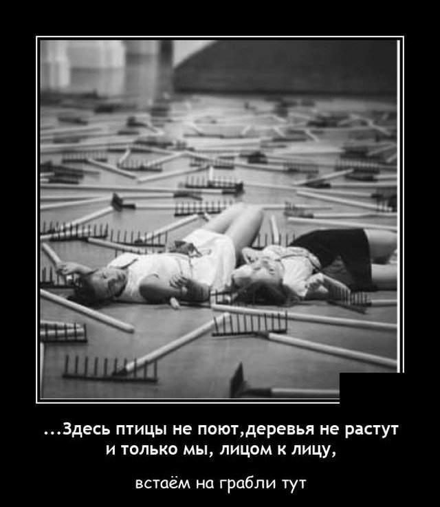 Демотиватор про грабли
