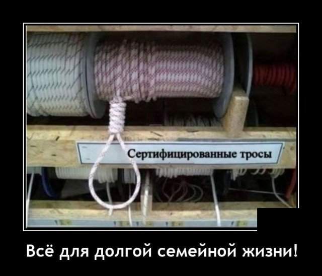 Демотиватор про семейную жизнь