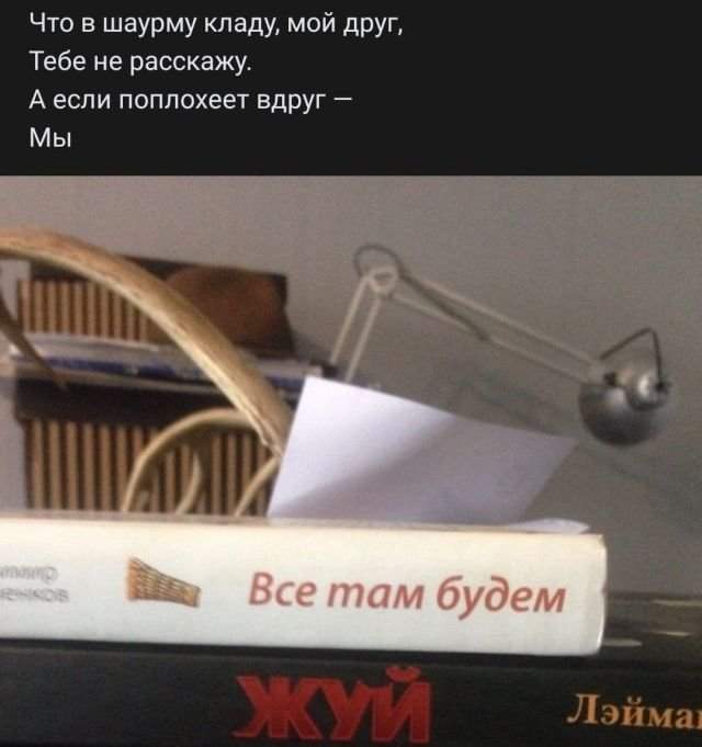 стих про шаурму