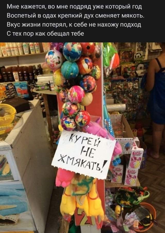 стих про куриц