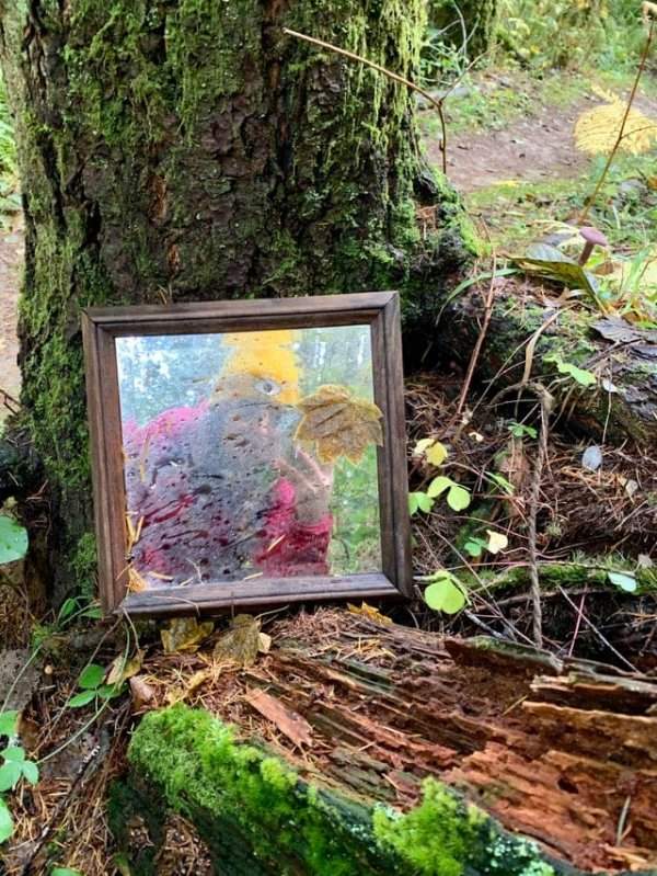 Кто-то оставил зеркало посреди леса