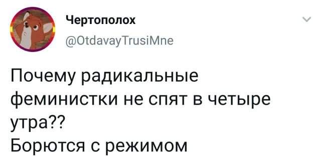 твит про феминисток