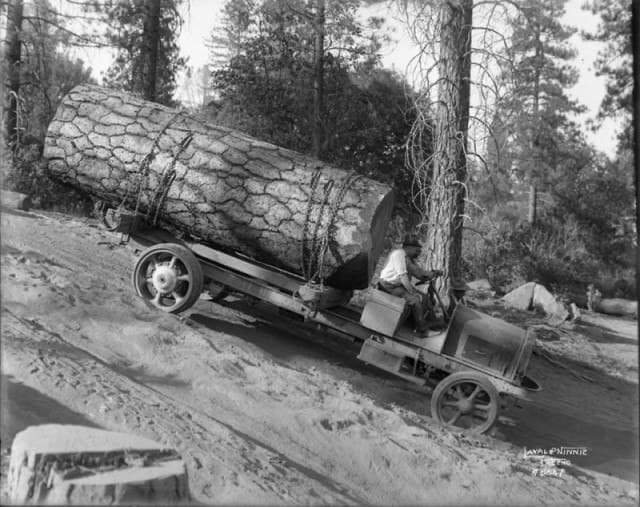 Лесовоз. Калифорния, 1919