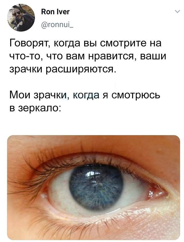 твит про зрачки