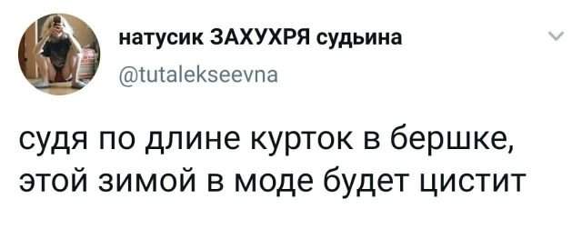 твит цистит