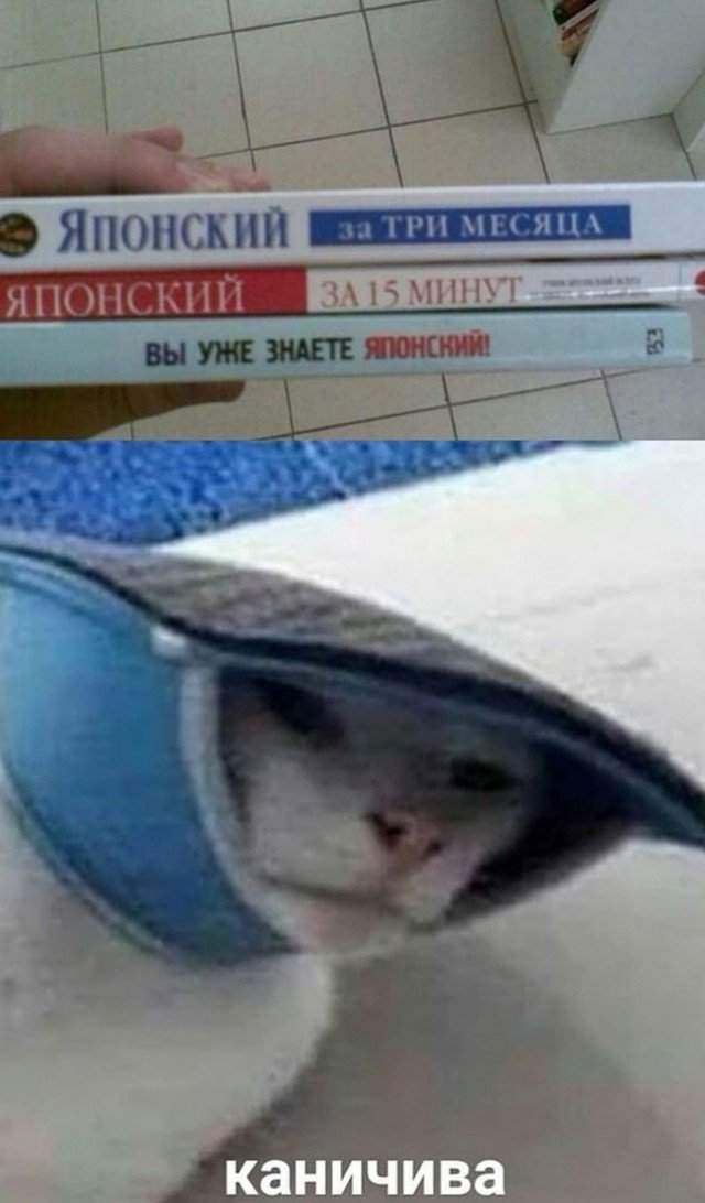 Быстрое изучение японского языка Быстрое изучение японского языка