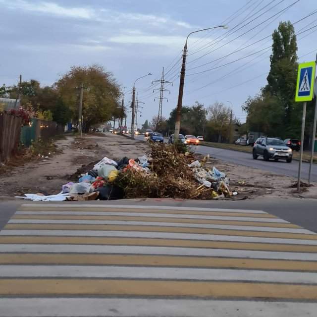 &quot;Куча-могуча&quot;: стихийная мусорка в Воронеже привлекла внимание в Сети