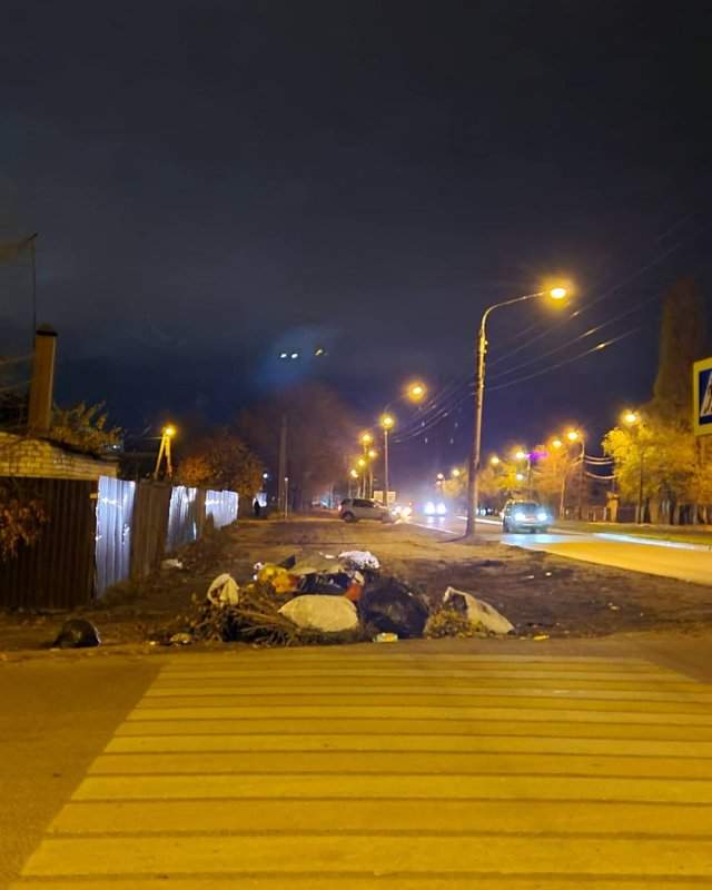 &quot;Куча-могуча&quot;: стихийная мусорка в Воронеже привлекла внимание в Сети