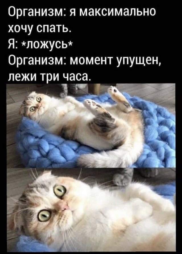 Лучшие мемы и шутки из Сети