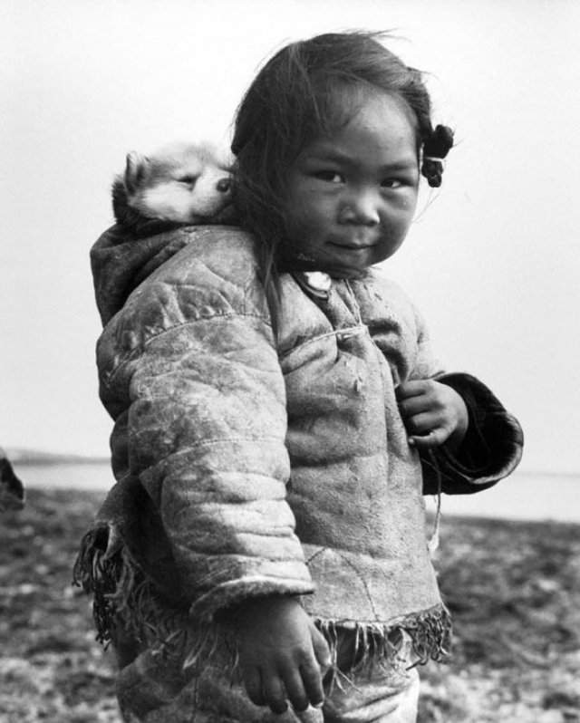 Маленькая эскимоска и ее хаски, 1949 год