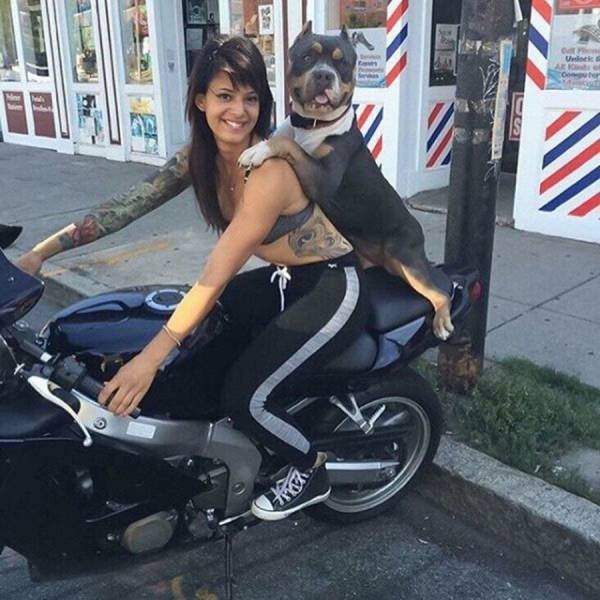 Девушка с собакой на мотоцикле