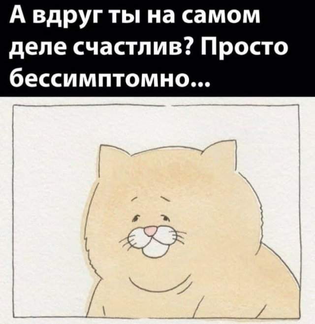 Лучшие шутки и мемы из Сети