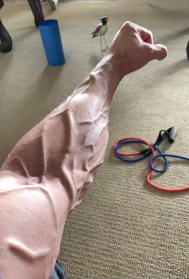 Мышцы на руке