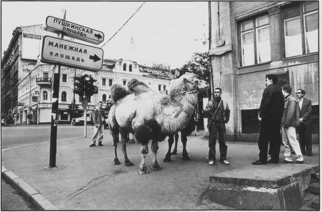 Московские верблюды,90-е