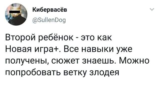 твит про второго ребенка