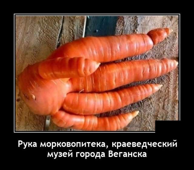 Демотиватор про морковь