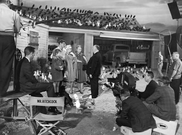 Павильонная атмосфера съёмок фильма &quot;Птицы&quot; (1963) напоминает ситком