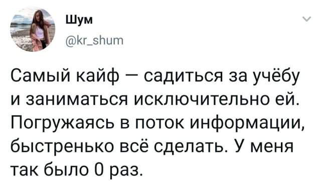 твит про учебу