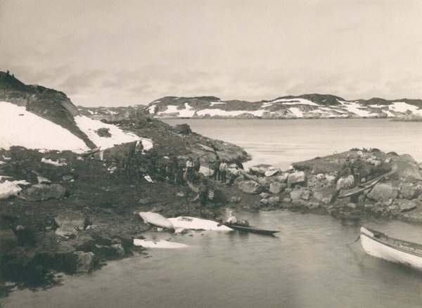 Китобои вытаскивают улов на берег недалеко от Нуука. 1889 г.