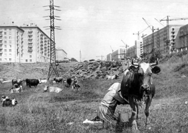 Ленинский проспект, 1959 год, Москва