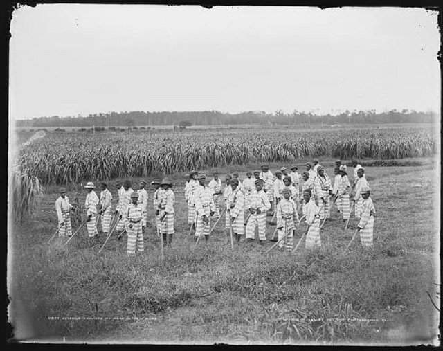 Темнокожие подростки-сироты до конца 60-х де-юре считались потенциально опасными и их содержали как арестантов на государственных фермах, где они работали до 16 лет без какой-либо оплаты, за еду.