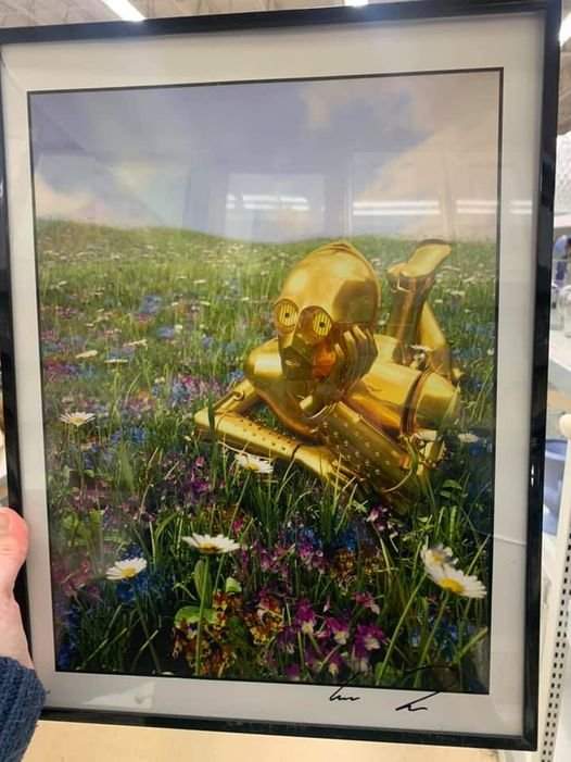 Романтичный C-3PO для фанатов Звездных Войн