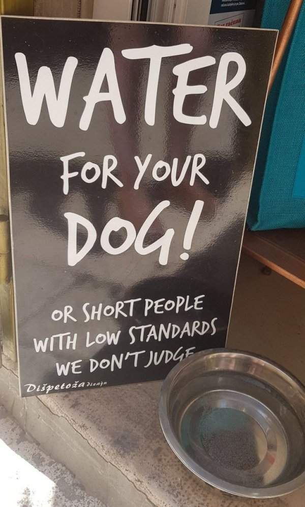 Вода для вашей собаки!