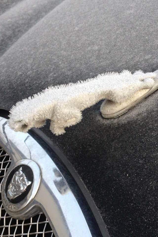 Замерзший значок автомобиля