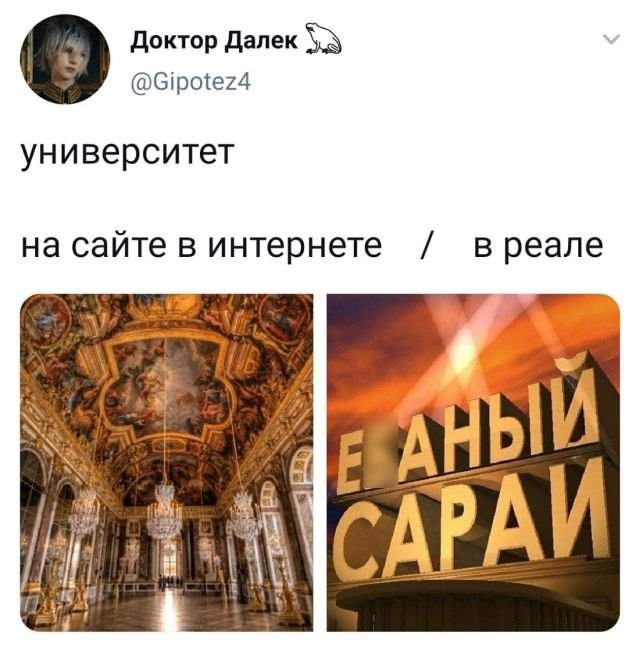 твит про университет