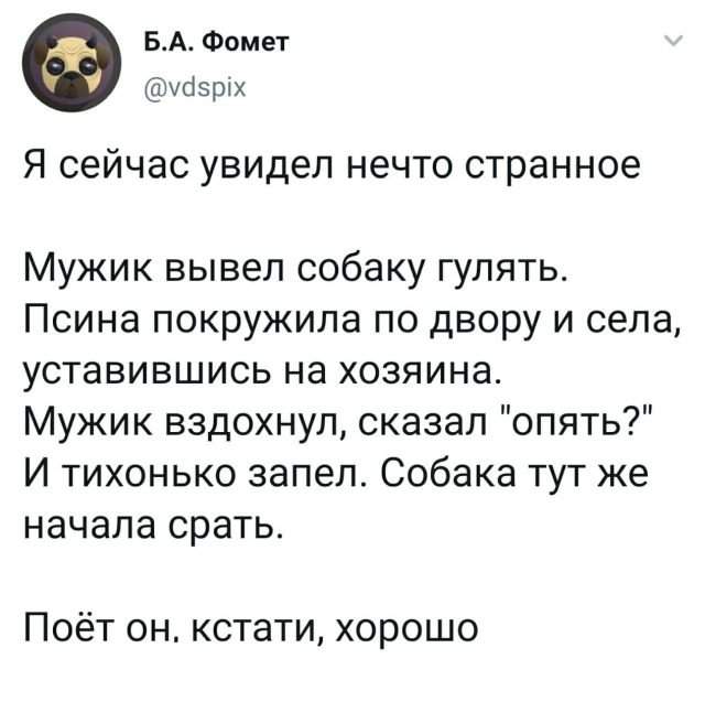 твит про собаку