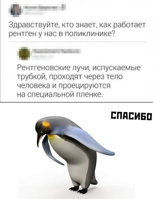 Рентгеновские лучи