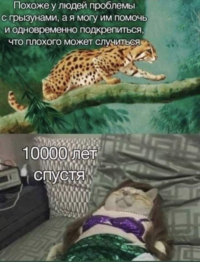 Лучшие шутки и мемы из Сети