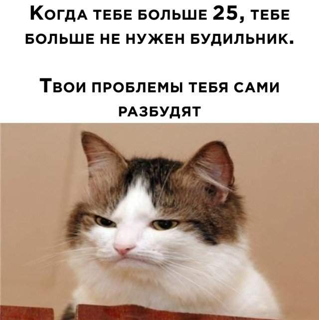 Когда тебе уже 25