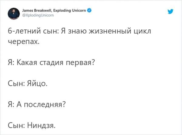 твит про жизненный цикл