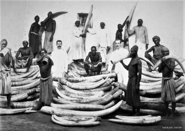 Торговцы слоновьей костью в районе Великих озер. Африка, 1880-е.