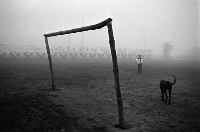 Прогулка с собакой на футбольном поле туманным утром, 1990-е.